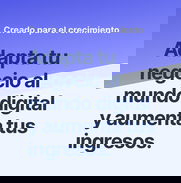 Desarrollo de sitios Web • Diseño de Logos • Tiendas online • WebSite - Img 50071624
