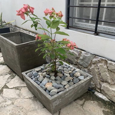 CREAMOS Y DISEÑAMOS JARDINES CON CÉSPED, PLANTAS, PIEDRAS DECORATIVAS, MACETAS Y TODO LO QUE USTED DESEE. JARDINEROS - Img 106930098