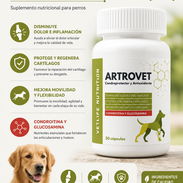 Suplemento de Coindritin con Glucosamina para perros - Img 55747200