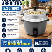 Arroceras - Img 57171070
