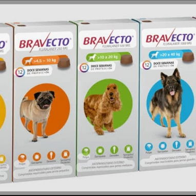 EME MASCOTAS 🐶🐱 - Img 122998486