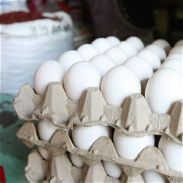 GANGA cartones de huevos¡¡¡¡¡ - Img 45610738