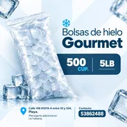 Bolsas de hielo en cubo 500cup 5lb - Img 57770421