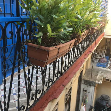 🪼 HOSTAL EN LA HABANA VIEJA | TERRAZA PANORÁMICA A PLAZA VIEJA 🏡✨ - Img 123407200