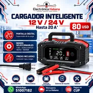 Cargador Inteligente de Baterías 12V/24V – Hasta 20A - Img 57076219