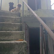 Vendo este apartamento - Img 56275936