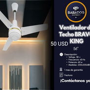 Ventilador de techo - Img 55856047