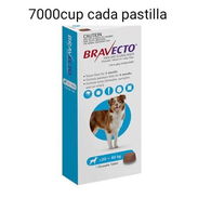 Bravecto - Img 56188565