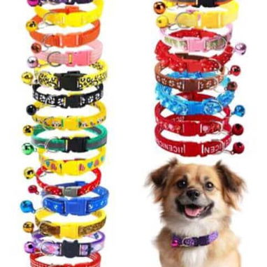Vendo accesorios para mascotas - Img 122446242
