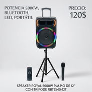 Speaker royal - Img 55881492