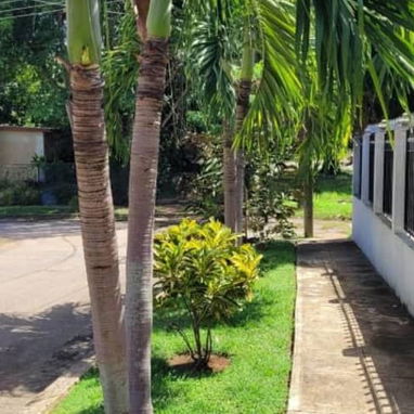 Casa independiente en Fontanar residencial, es una propiedad de 800 m2 , que abarca casi la mitad de la manzana,tiene ja - 8/10