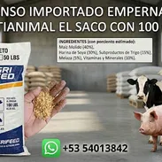 Pienso pienso pienso - Img 56022664