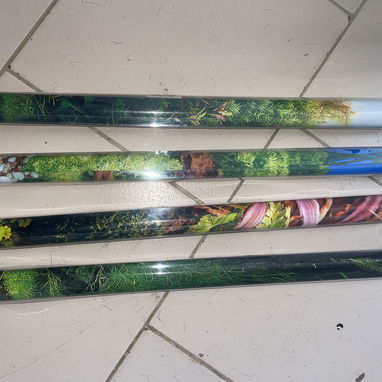 Artículos para peceras y/o acuarios tropicales. Peces. - 9/10