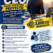 Buscamos CEO para nuestro proyecto - Img 58086655