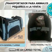 Transportador de mascotas pequeñas - Img 58227377