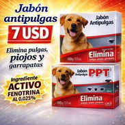 Accesorios para mascotas - Img 50472970
