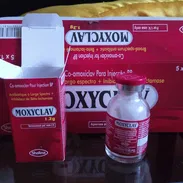 Amoxicilina 1000mg antibiótico - Img 55803832