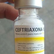 Ceftriaxona [Rocefin] (1000.0g) 750cup - Img 45595178