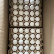 Huevos - Img 57208944