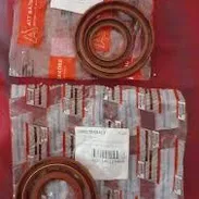 Retenes del Motor de LADA - Img 53240159