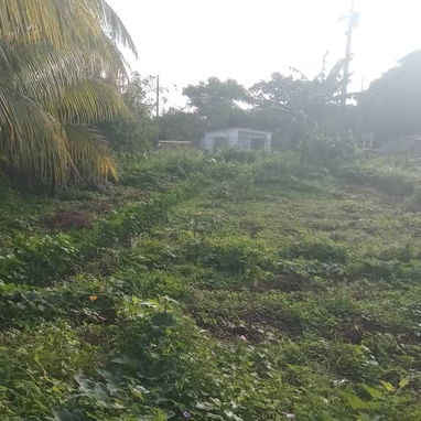 Se vende Casa quinta grande con Garaje, Patio, lote de Terreno particular y Pozo de agua - 5/10