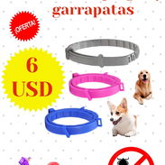 Collar antipulgas y garrapatas - Img 56324378