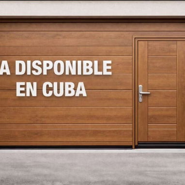 PUERTA DE GARAGE CON PASO PEATONAL Y SIN PASO PEATONAL CON SU MOTOR 👀58080802 - Img 117052620