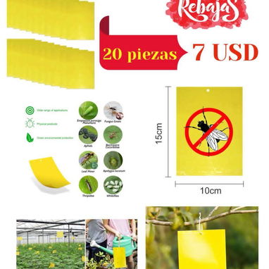 Cintas y Trampas 🪰🪳🦟Atrapa Moscas /Insectos s - Img 111712354