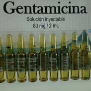 Gentamicina en ampula 80mg /2ml - Img 55326187