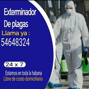 Fumigador - profesionalidad y garantia - Img 55055438
