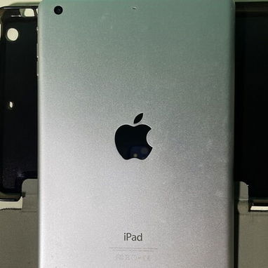 iPad Mini 3 - 2/2