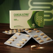 Mesalezina o Mesalezine blíster 10 tabletas 500 mg - Img 56790003