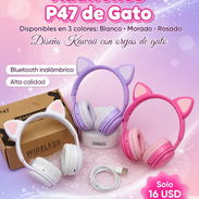 Audífonos de gatos - Img 53653054