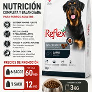 Comida para perros - Img 57005861