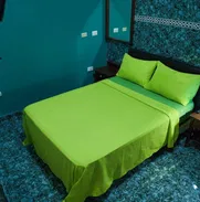📍🔑Hostal "Casa Pablo" de 5 Habitaciones en el Vedado REF 1311 - Img 49779235