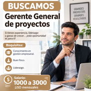 SE BUSCA GERENTE GENERAL DE PROYECTOS - Img 57971147