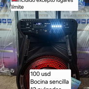 Bocina sencilla 12 pulgadas - Img 57658145