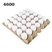 Huevos - Img 57248351