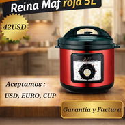 Olla reina MAF - Img 55847001