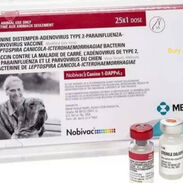 Vacuna Pentavalente - Simparica 20 a 40 kg - Img 44979781