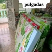 👋 Colchones personales de espuma 4 pulgadas de grosor - Img 55851120