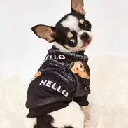 Ropa para mascotas - Img 58366314