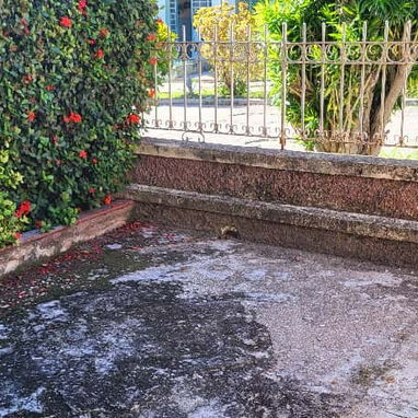 VÍBORA 003 🏡 CASA EN VENTA – LA VÍBORA, 10 DE OCTUBRE, LA HABANA  📍 Ubicación: La Víbora, a 1 cuadra de Emigración, 2 - Img 119512730