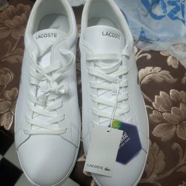 Zapatos, Marca Lacoste No. 47 - Img 125525580