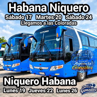 Viajes Interprovinciales - 2/3