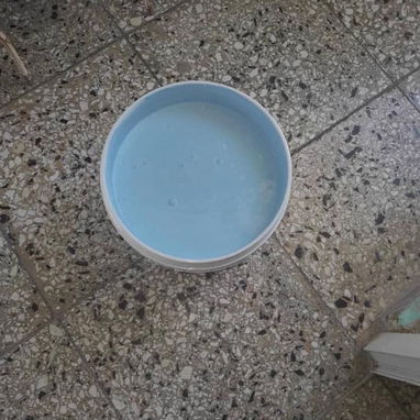 Ofertamos buena calidad de pintura para su hogar - Img 114554997
