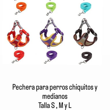 ArtĂculos para mascotas - Img 121178706
