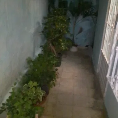 Apartamento en la misma  Santa Catalina entre poey y heredia - Img 121059295