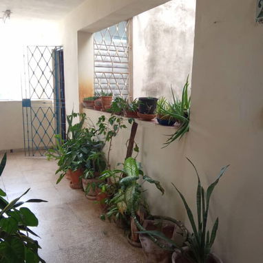 Vanta Apartamento en el Vedado - 3/9