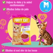 Pienso Forty Cat de 700g - Img 50719384